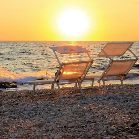 Nikola Luxury Apartments Senia Petrčane Dış mekan fotoğraf